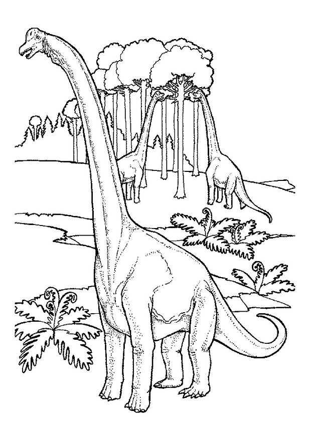 Coloriage dinosaure - Brachiosaure à imprimer dessin gratuit Coloriage dinosaure - Brachiosaure à imprimer